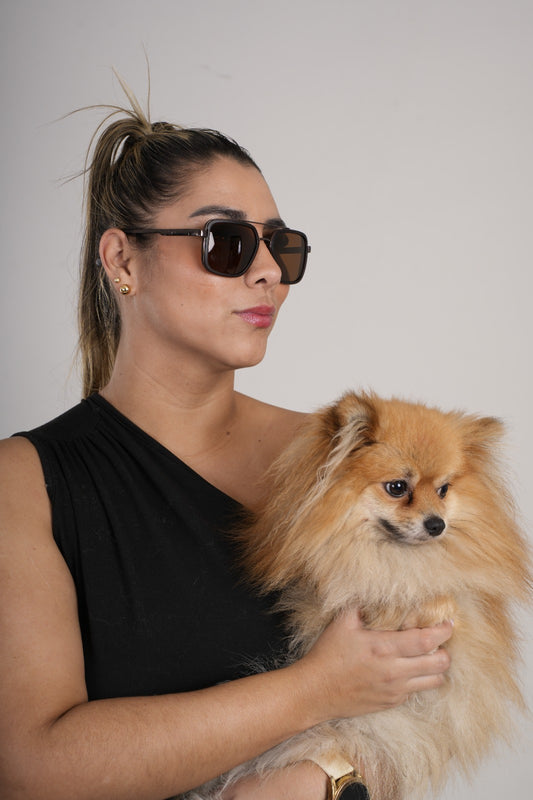 Gafas de sol  florida dark brow unisex